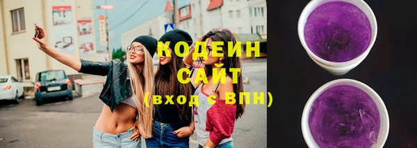 гашик Инсар