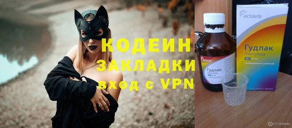 ГАЛЛЮЦИНОГЕННЫЕ ГРИБЫ Инта