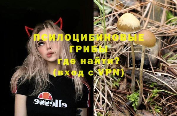 МДПВ Зеленокумск