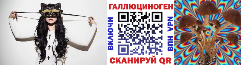 Купить Каменск-Шахтинский Галлюциногенные грибы мицелий